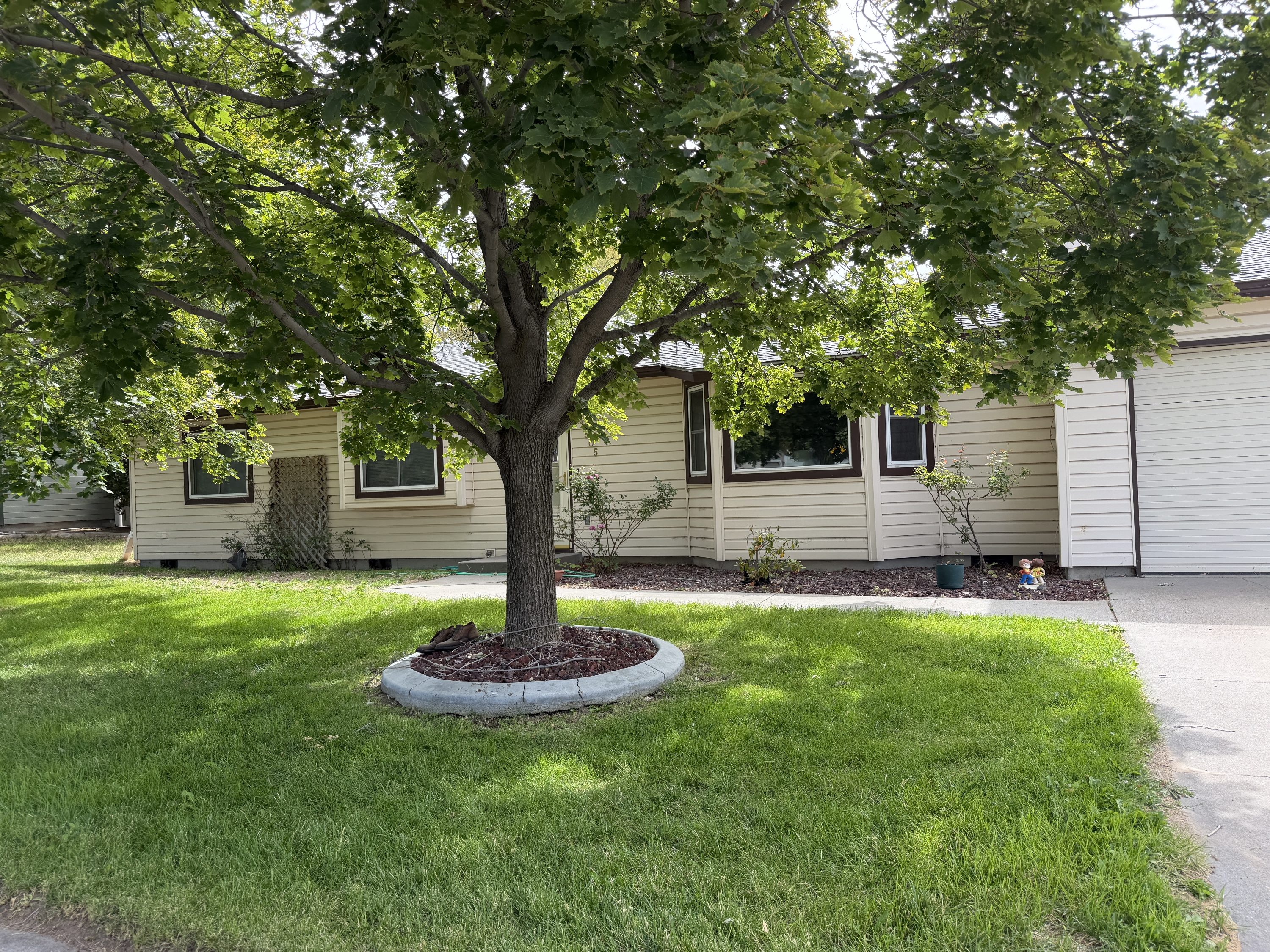 1505 East 10th Street North